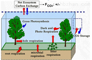 土壤剖面CO2梯度监测系统
