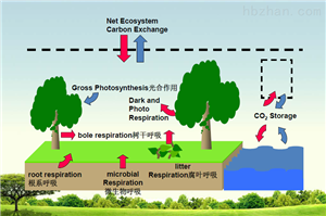 土壤剖面CO2梯度监测系统(分析仪法)