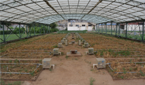 土壤测坑监测系统