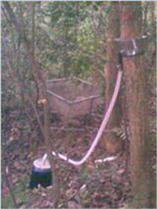 树干截流监测系统