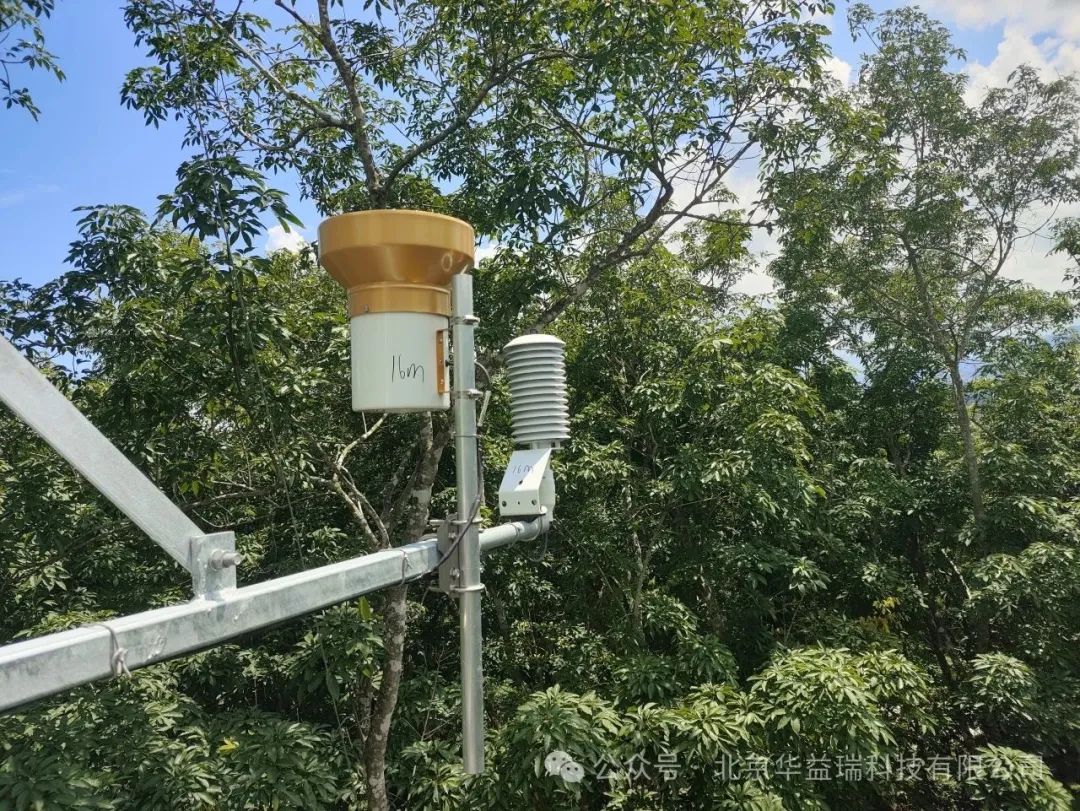 案例分享 | 海南大学森林生态系统碳水通量综合监测