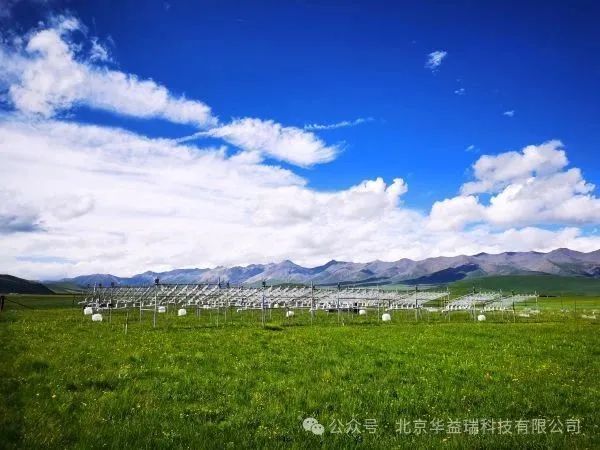 贺金生教授团队解析青藏高原植物不同功能群对季节非对称性增温的特异性响应