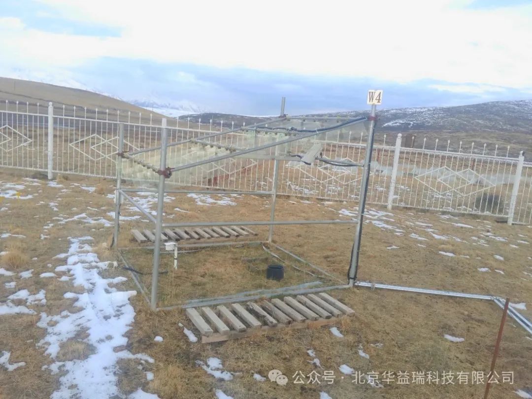 贺金生教授团队解析青藏高原植物不同功能群对季节非对称性增温的特异性响应