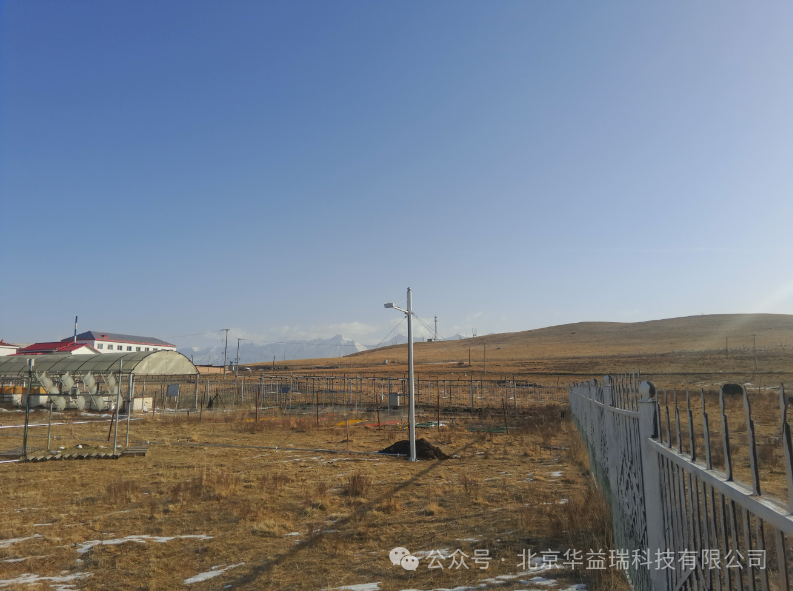 贺金生教授团队解析青藏高原植物不同功能群对季节非对称性增温的特异性响应